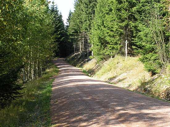 /Pict0855.jpg
