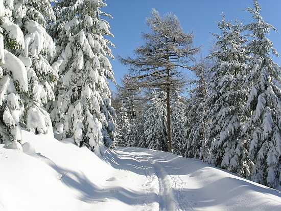 /Erzgebirge-Kipsdorf-Tellkoppe-Skitour-36.JPG